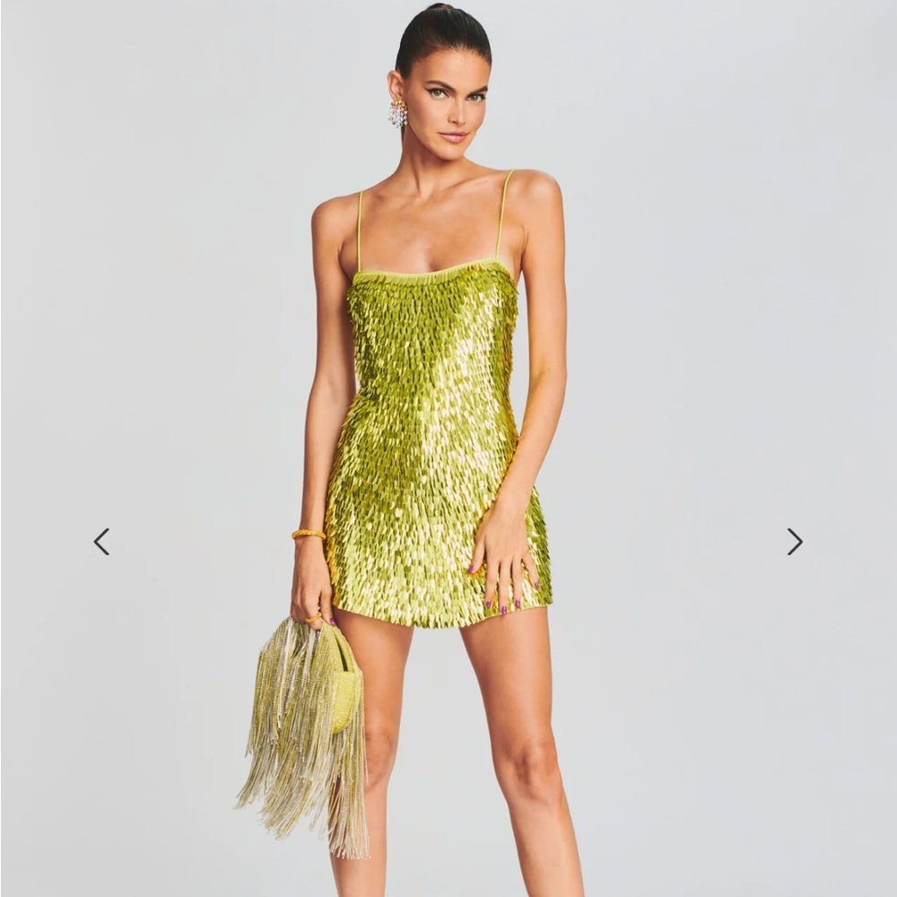 Retrofete Nara Feather Dress